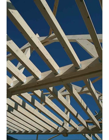 Bois d'ossature 45x220